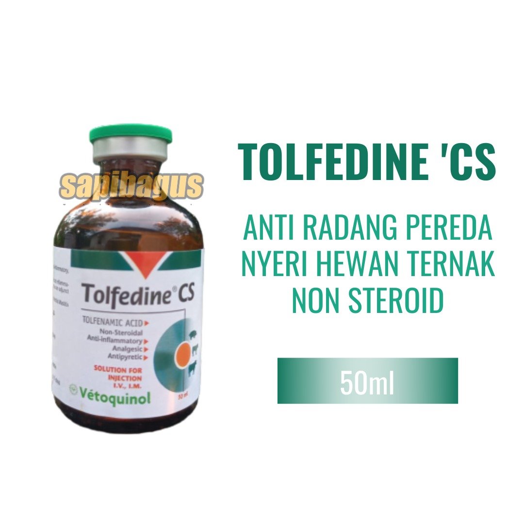 Image Tolfedine---Sapibagus---Ruminansia.jpg